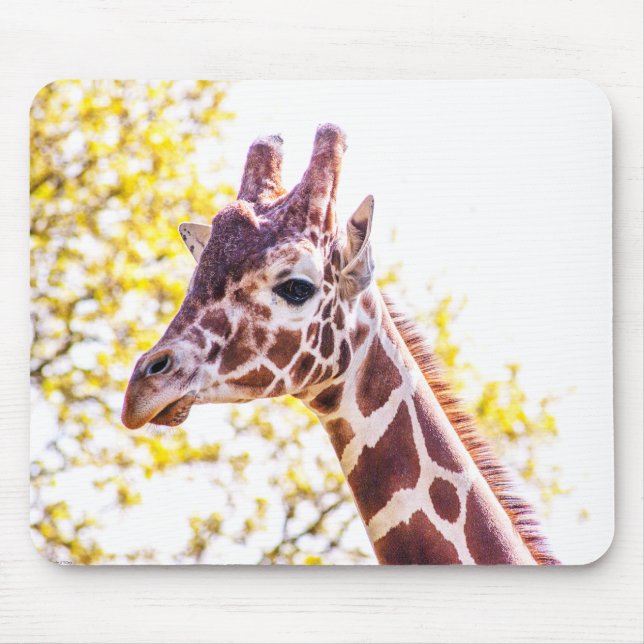 Giraffe Porträtt Musmatta (Framsidan)