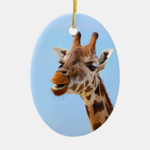Giraffe Porträtt ornament