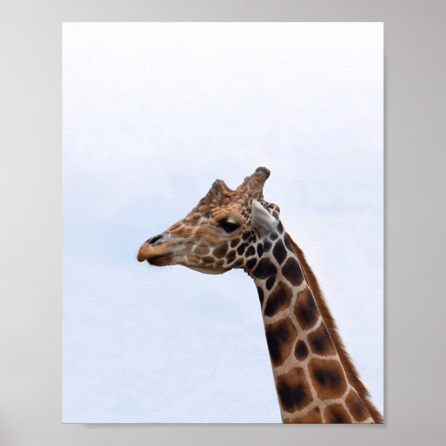 Giraffe Porträtt Photo 106 Poster (Framsidan)