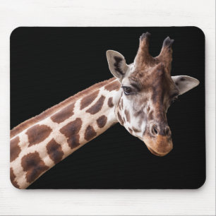 Giraffe Porträtt Photo on Black Musmatta