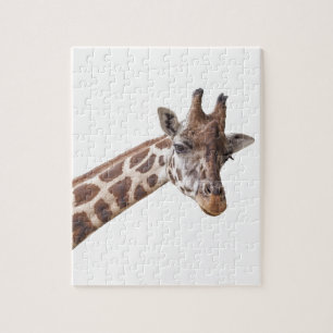 Giraffe Porträtt Photo on White Pussel