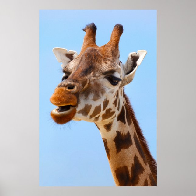 Giraffe Porträtt poster (Framsidan)