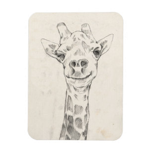 Giraffe Porträtt Sketch Magnet