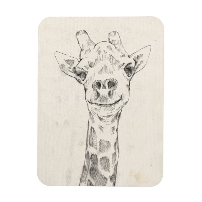 Giraffe Porträtt Sketch Magnet (Vertikal)