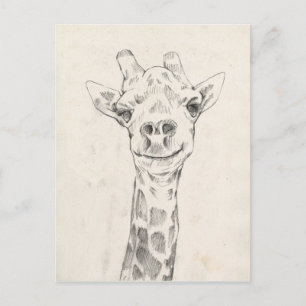 Giraffe Porträtt Sketch Vykort