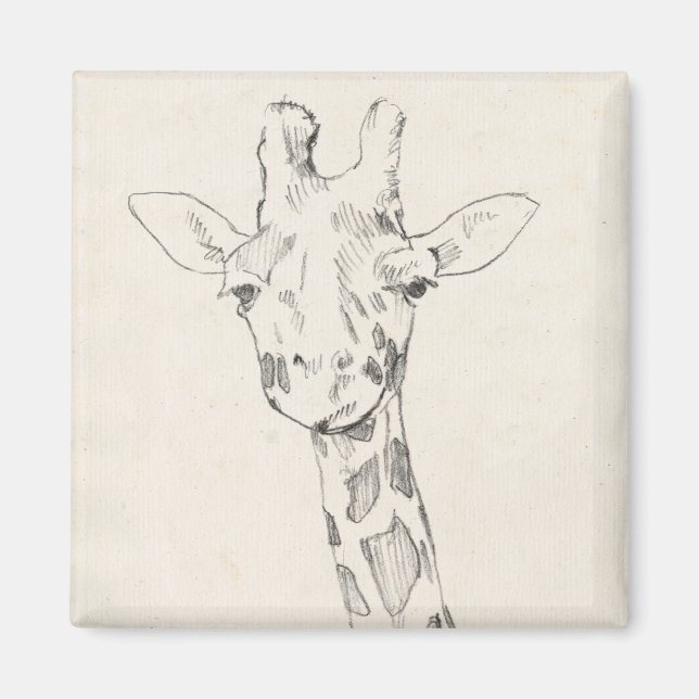 Giraffe Porträtt | Skiss Magnet (Framsidan)