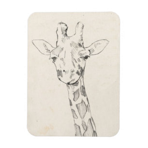 Giraffe Porträtt Skiss Magnet