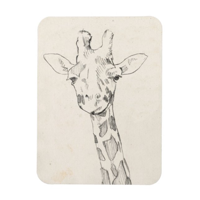 Giraffe Porträtt | Skiss Magnet (Vertikal)