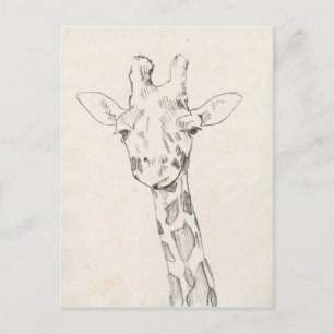 Giraffe Porträtt Skiss Vykort