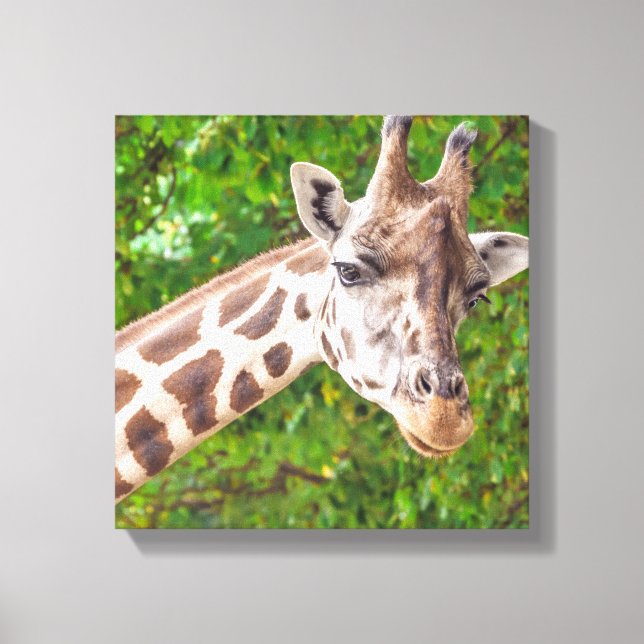 Giraffe Porträtt - Wrapped Canvas (Framsida)