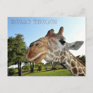 Giraffe Postcard / Hej där! Vykort