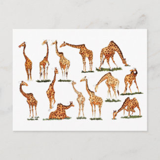 "GIRAFFE" POSTCARD VYKORT
