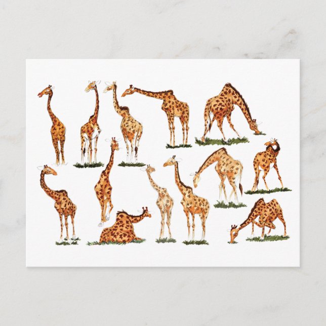 "GIRAFFE" POSTCARD VYKORT (Framsida)