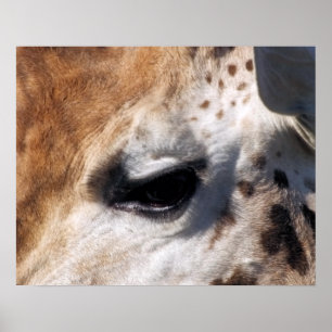 GIRAFFE POSTER