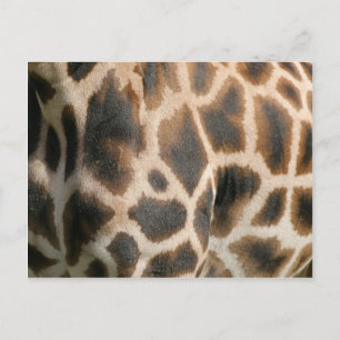 Giraffe Print Mönster vykort