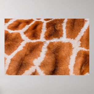 Giraffe print struktur poster