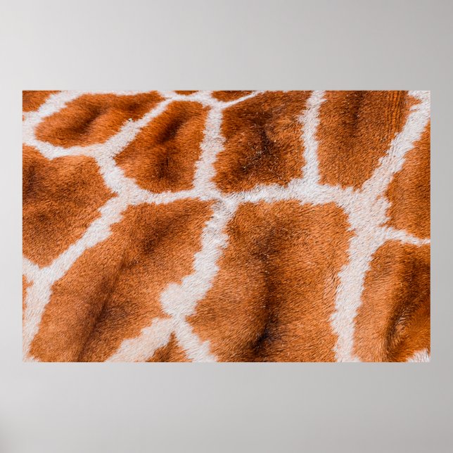 Giraffe print struktur poster (Framsidan)