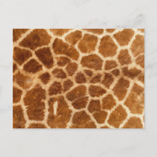 Giraffe Print Vykort