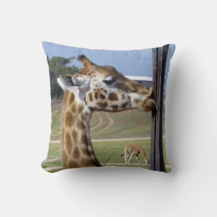 Giraffe Pucker Up Kisses, Kudde