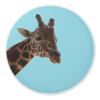Giraffe pull knob knopp