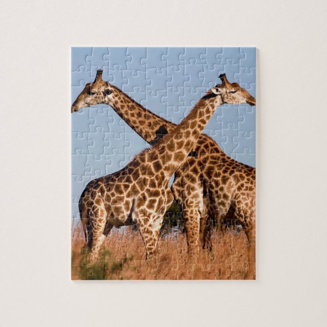 Giraffe Puzzon Pussel (Vertikal)