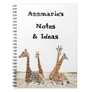 Giraffe Roligt Photo - Four Giraffe's Sitta Anteckningsbok