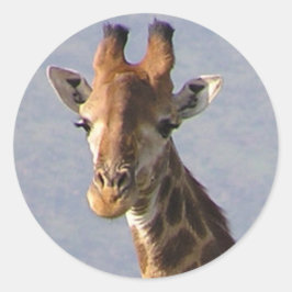 Giraffe Runt Klistermärke