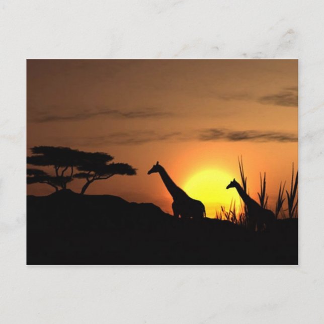 Giraffe Silhouette - Blank för ditt eget meddeland Vykort (Framsida)