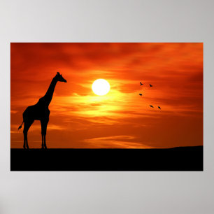 Giraffe Silhouette vid Sunset Poster