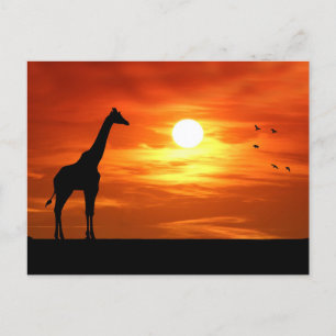 Giraffe Silhouette vid Sunset Vykort