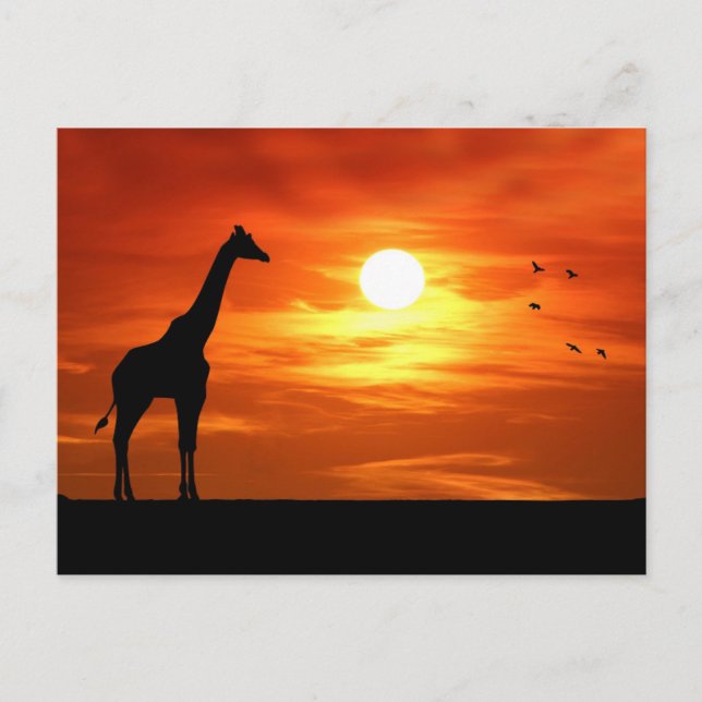 Giraffe Silhouette vid Sunset Vykort (Framsida)
