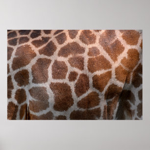 Giraffe skin struktur poster
