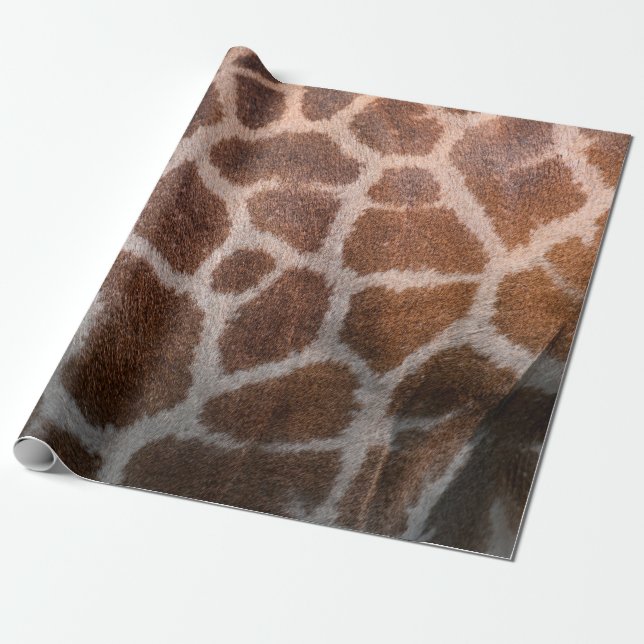 Giraffe skin struktur presentpapper (Utrullad)