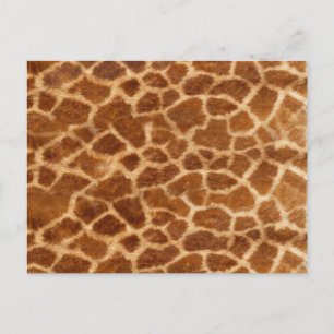 Giraffe Skin Vykort