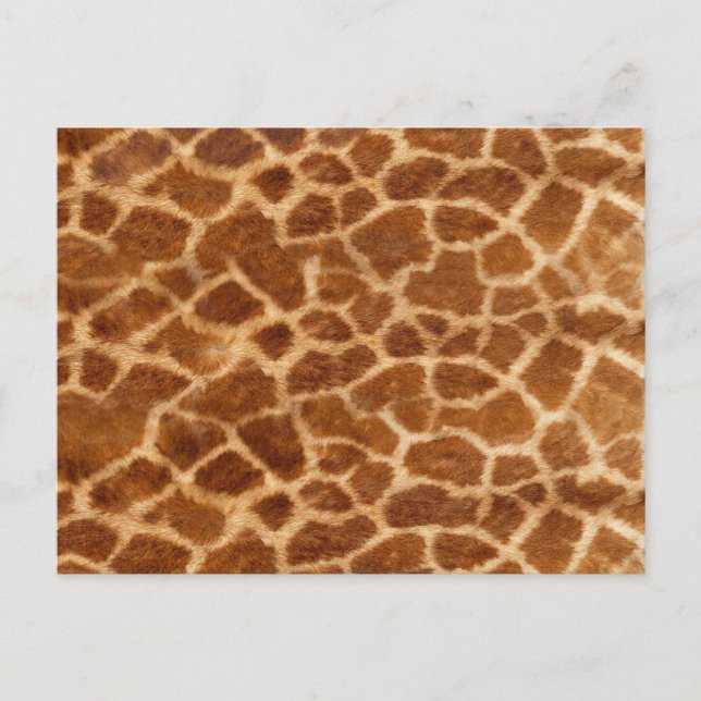 Giraffe Skin Vykort (Framsida)