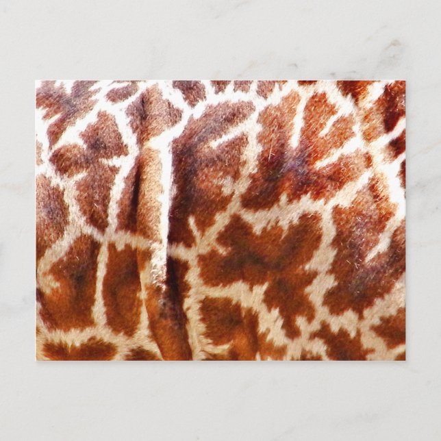 Giraffe Skin_ Vykort (Framsida)