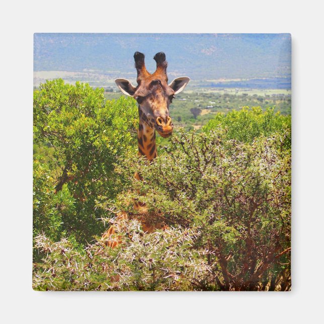 Giraffe slog huvudet ovanför Träd Magnet (Framsidan)