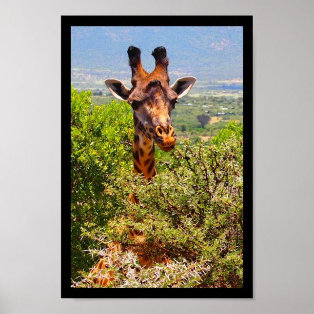 Giraffe slog huvudet ovanför Träd Poster (Framsidan)