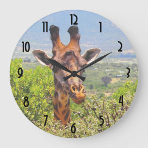 Giraffe slog huvudet ovanför Träd Stor Klocka
