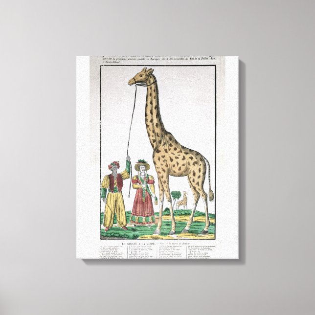 Giraffe som presenterades för Kung från Pasha av Canvastryck (Framsida)