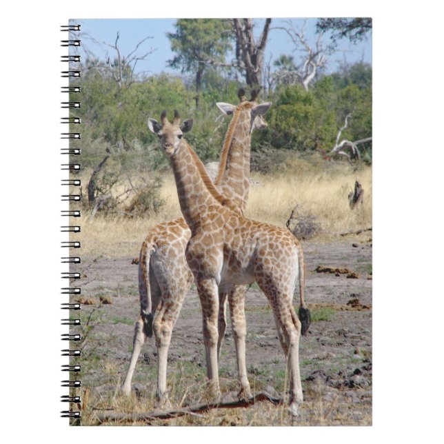 Giraffe Spädbarn spiral bärbar dator/journal Anteckningsbok (Framsidan)