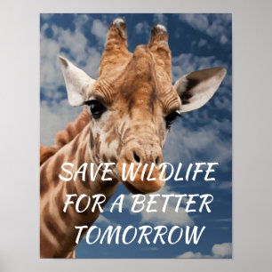 Giraffe, Spara Wildlife för en bättre morgondag Poster