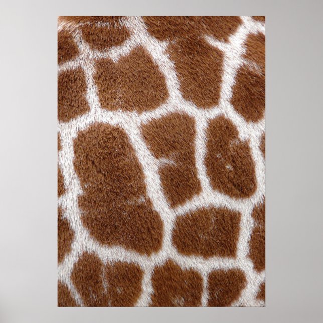 Giraffe Spots Poster (Framsidan)