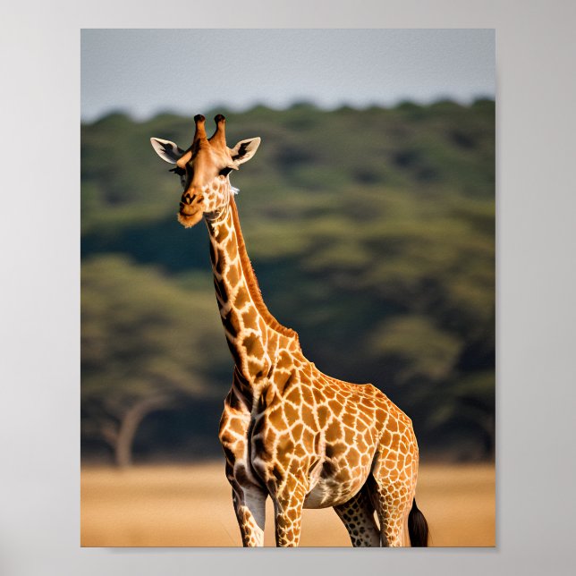 Giraffe Ständiga Tall Poster (Framsidan)