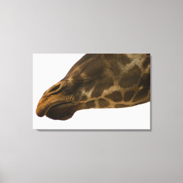 Giraffe,stäng Canvastryck (Framsida)