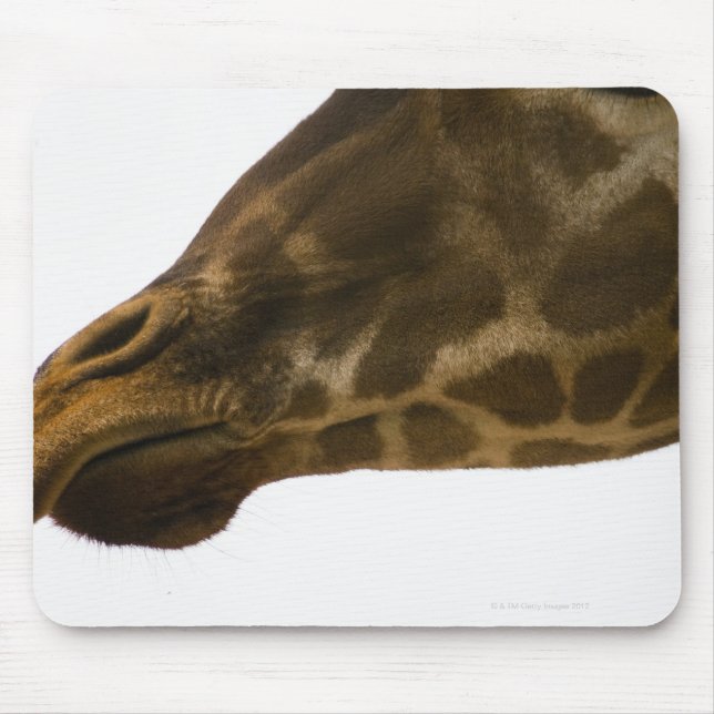 Giraffe,stäng Musmatta (Framsidan)