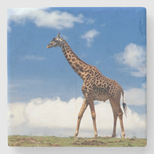Giraffe Stone Underlägg