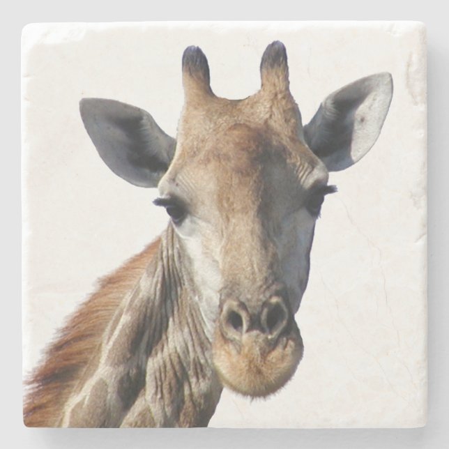 Giraffe Stone Underlägg (Framsidan)