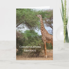Giraffe Studenten Card Kort