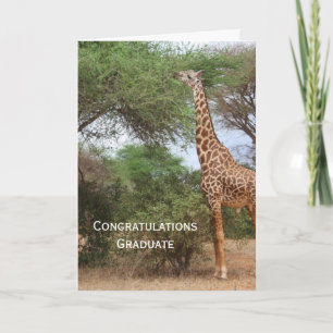Giraffe Studenten Card Kort